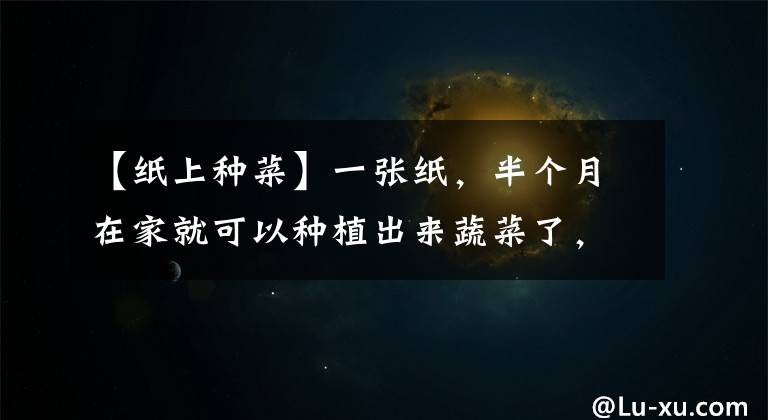 【纸上种菜】一张纸,半个月在家就可以种植出来蔬菜了,简单,实用