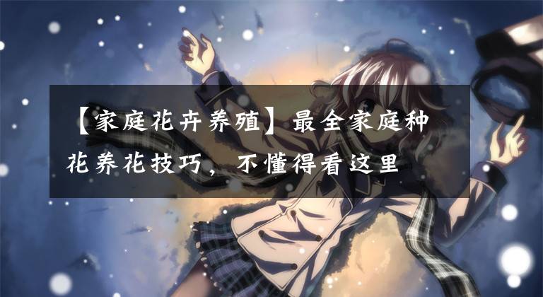 【家庭花卉养殖】最全家庭种花养花技巧,不懂得看这里
