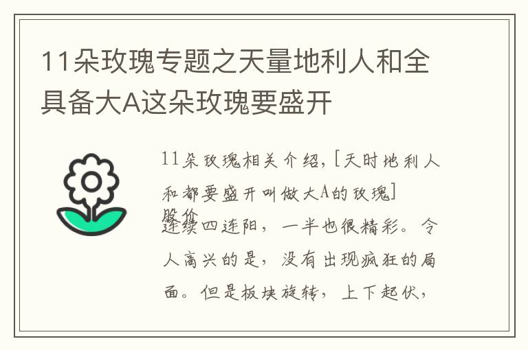 11朵玫瑰专题之天量地利人和全具备大A这朵玫瑰要盛开