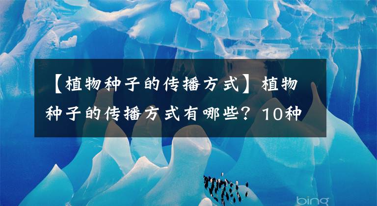 【植物种子的传播方式】植物种子的传播方式有哪些?10种植物的传播方式介绍