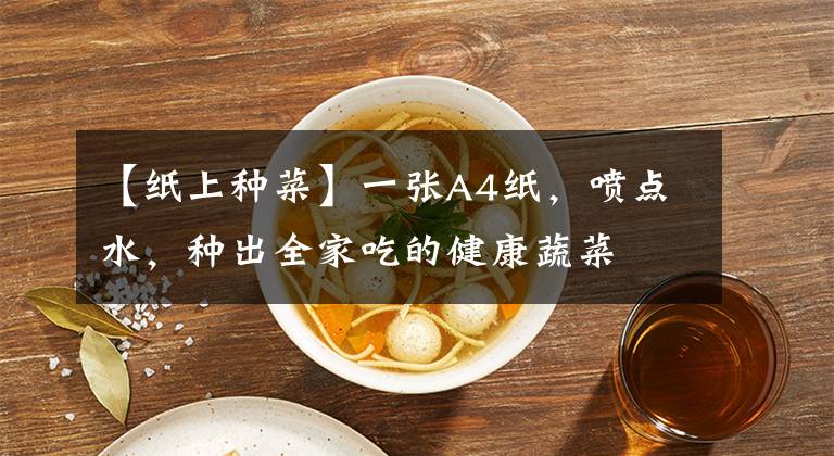 【纸上种菜】一张A4纸,喷点水,种出全家吃的健康蔬菜