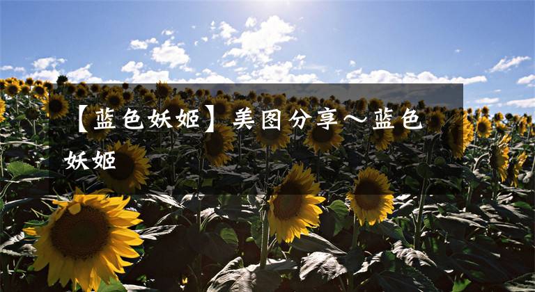 【蓝色妖姬】美图分享～蓝色妖姬