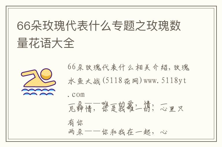 66朵玫瑰代表什么专题之玫瑰数量花语大全