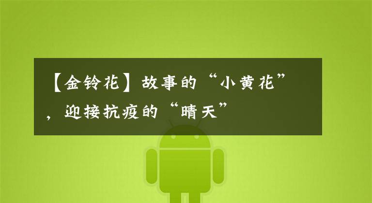 【金铃花】故事的“小黄花”，迎接抗疫的“晴天”