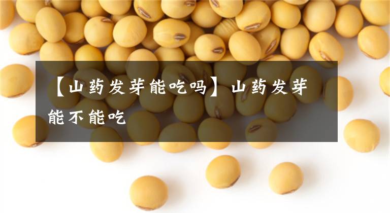 【山药发芽能吃吗】山药发芽能不能吃