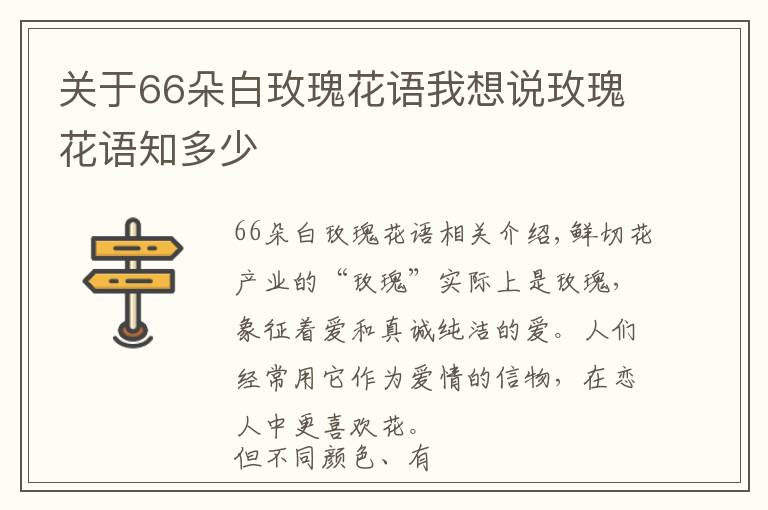 关于66朵白玫瑰花语我想说玫瑰花语知多少