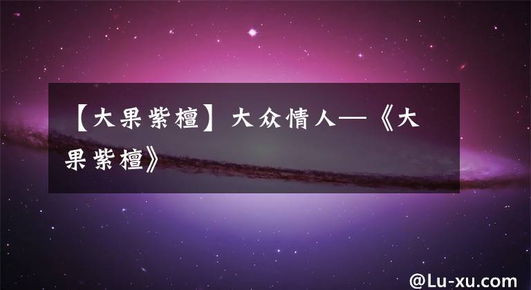 【大果紫檀】大众情人—《大果紫檀》