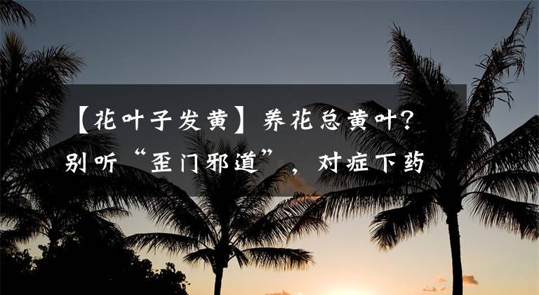 【花叶子发黄】养花总黄叶？别听“歪门邪道”，对症下药，别让叶子哗哗掉