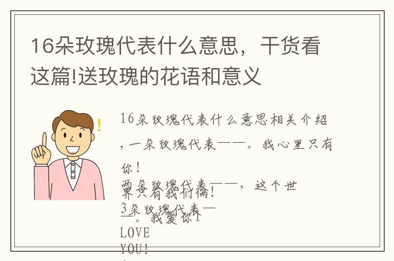 16朵玫瑰代表什么意思,干货看这篇!送玫瑰的花语和意义