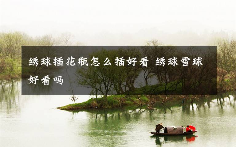 绣球插花瓶怎么插好看 绣球雪球好看吗