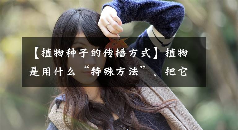 【植物种子的传播方式】植物是用什么“特殊方法”,把它的种子传播到世界各个角落的?