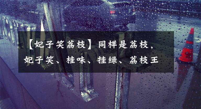 【妃子笑荔枝】同样是荔枝，妃子笑、桂味、挂绿、荔枝王，谁是荔枝中的王者？