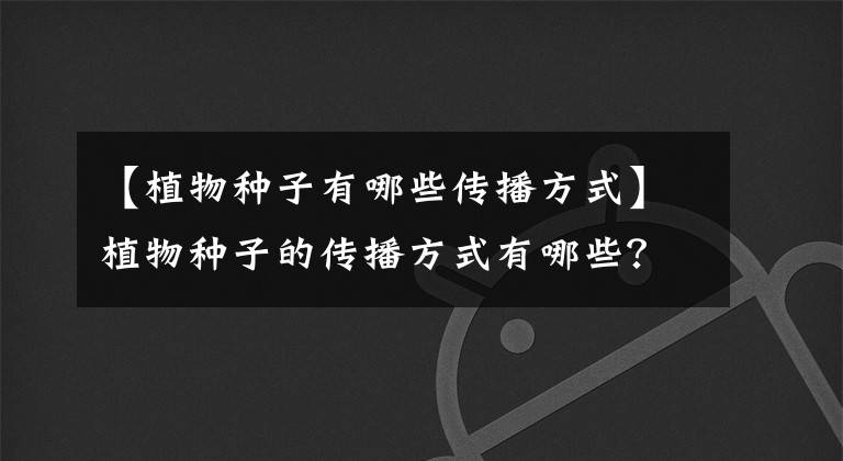 【植物种子有哪些传播方式】植物种子的传播方式有哪些?10种植物的传播方式介绍