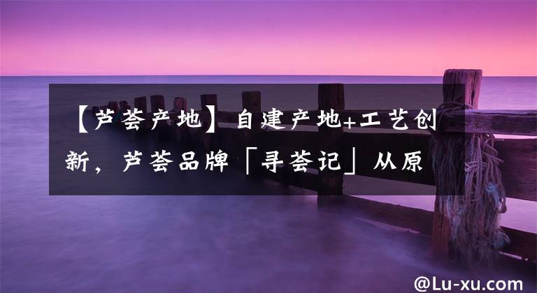 【芦荟产地】自建产地+工艺创新,芦荟品牌「寻荟记」从原料入手做品控