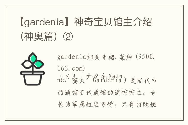 【gardenia】神奇宝贝馆主介绍(神奥篇)②