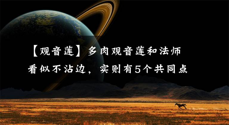 【观音莲】多肉观音莲和法师看似不沾边,实则有5个共同点,养法也大体相同