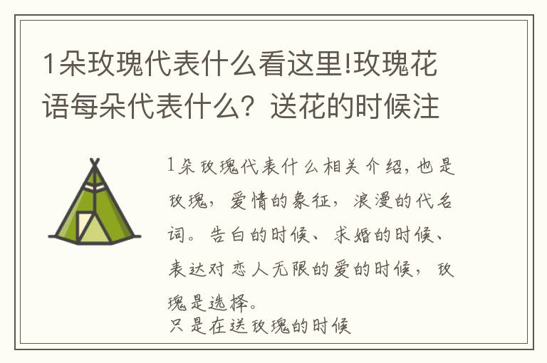 1朵玫瑰代表什么看这里!玫瑰花语每朵代表什么?送花的时候注意了