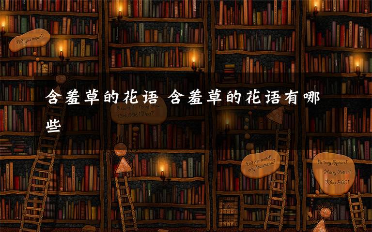 含羞草的花语 含羞草的花语有哪些