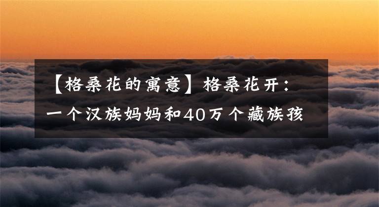 【格桑花的寓意】格桑花开:一个汉族妈妈和40万个藏族孩子
