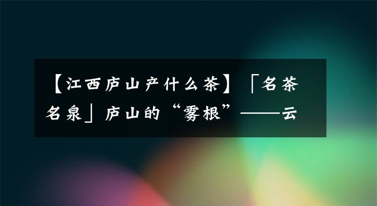 【江西庐山产什么茶】「名茶名泉」庐山的“雾根”——云雾茶