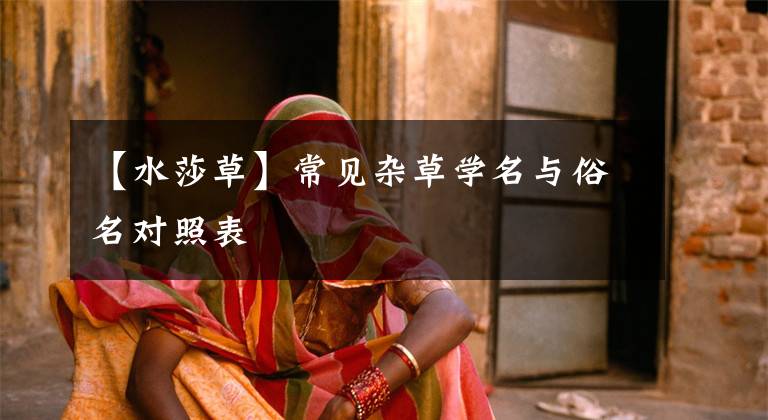 【水莎草】常见杂草学名与俗名对照表