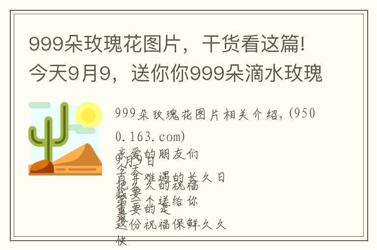 999朵玫瑰花图片,干货看这篇!今天9月9,送你你999朵滴水玫瑰,祝你幸福天长地久,早上好
