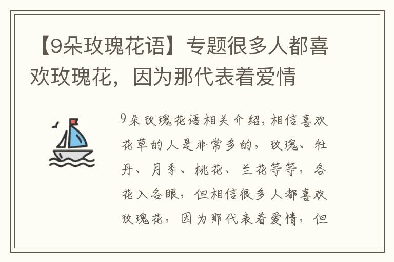 【9朵玫瑰花语】专题很多人都喜欢玫瑰花,因为那代表着爱情