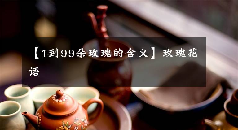 【1到99朵玫瑰的含义】玫瑰花语