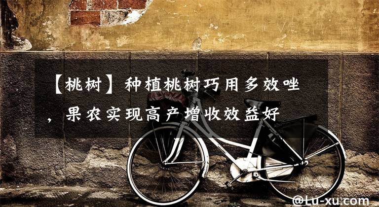 【桃树】种植桃树巧用多效唑，果农实现高产增收效益好