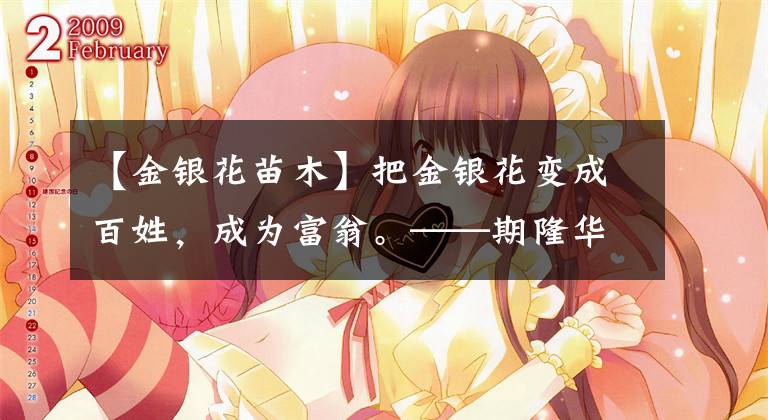 【金银花苗木】把金银花变成百姓,成为富翁。——期隆华移民金银花种植专业合作公司理事长黄秀华。