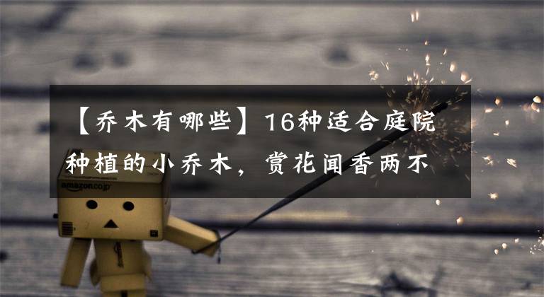 【乔木有哪些】16种适合庭院种植的小乔木,赏花闻香两不误