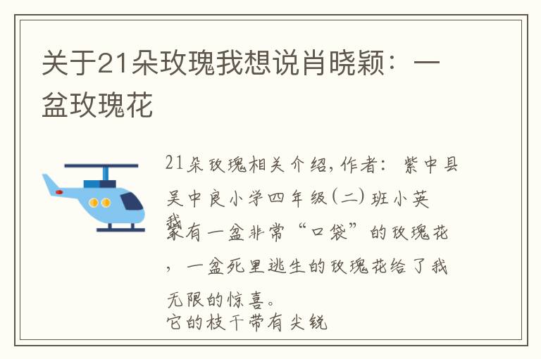 关于21朵玫瑰我想说肖晓颖:一盆玫瑰花