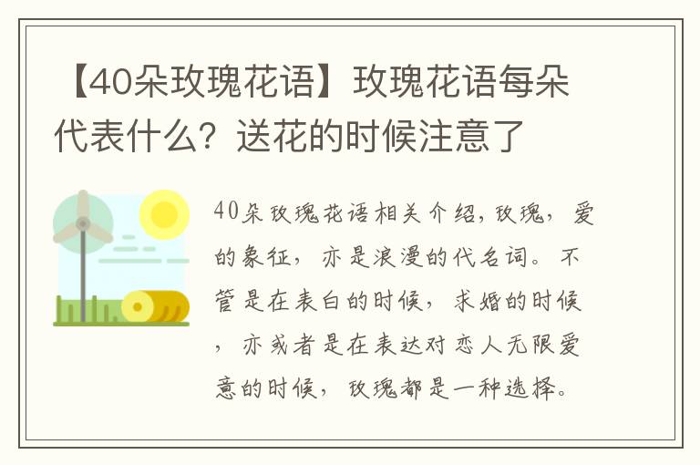 【40朵玫瑰花语】玫瑰花语每朵代表什么?送花的时候注意了
