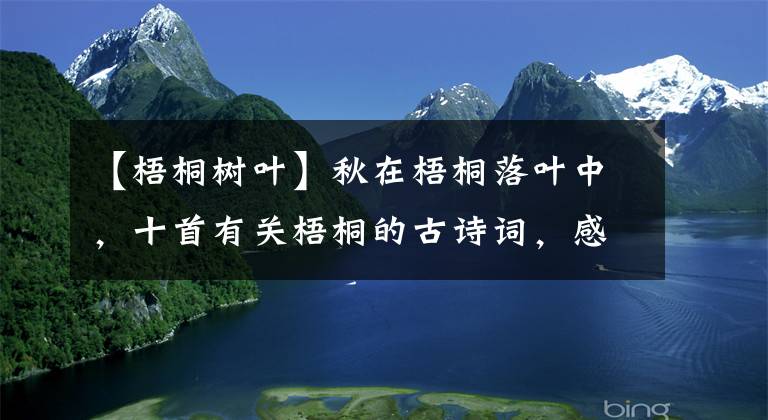【梧桐树叶】秋在梧桐落叶中，十首有关梧桐的古诗词，感受梧桐叶上的秋意