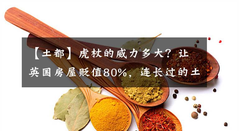 【土都】虎杖的威力多大?让英国房屋贬值80%,连长过的土都需回收处理