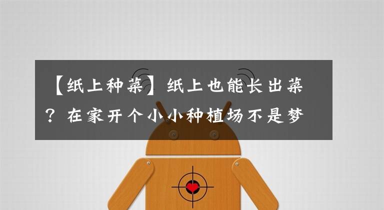 【纸上种菜】纸上也能长出菜?在家开个小小种植场不是梦