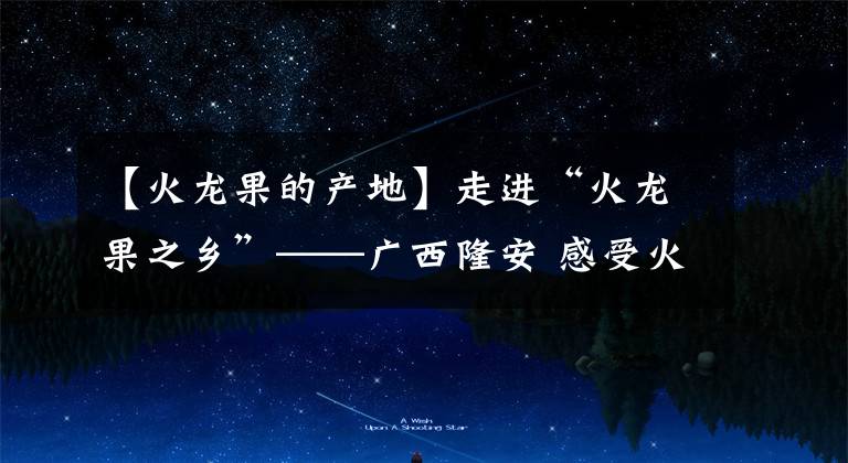 【火龙果的产地】走进“火龙果之乡”——广西隆安 感受火龙果的魅力
