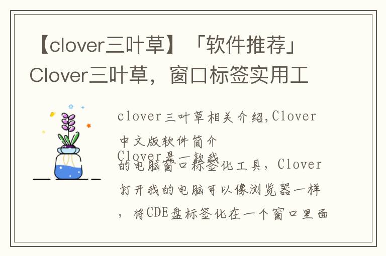 【clover三叶草】「软件推荐」Clover三叶草,窗口标签实用工具软件