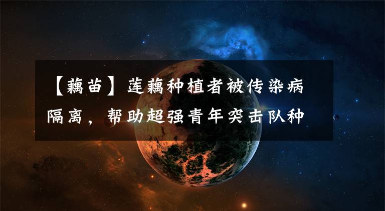 【藕苗】莲藕种植者被传染病隔离，帮助超强青年突击队种植了2000斤莲藕