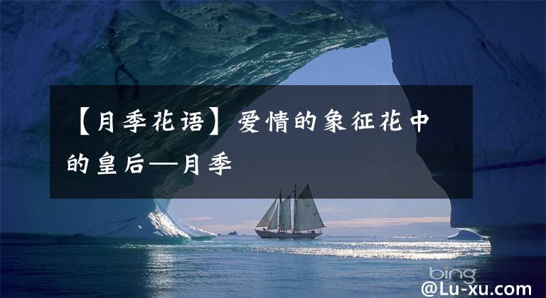 【月季花语】爱情的象征花中的皇后—月季