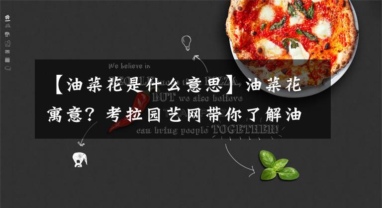 【油菜花是什么意思】油菜花寓意?考拉园艺网带你了解油菜花的寓意