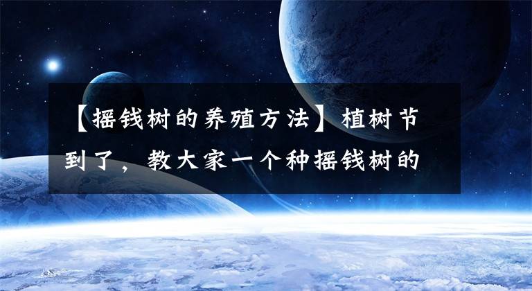 【摇钱树的养殖方法】植树节到了,教大家一个种摇钱树的好方法