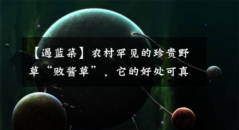 【遏蓝菜】农村罕见的珍贵野草“败酱草”，它的好处可真不少