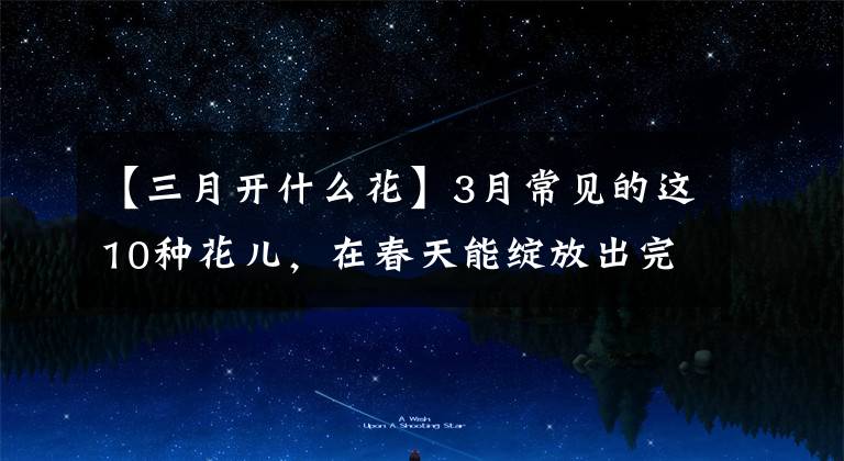 【三月开什么花】3月常见的这10种花儿,在春天能绽放出完美的光彩