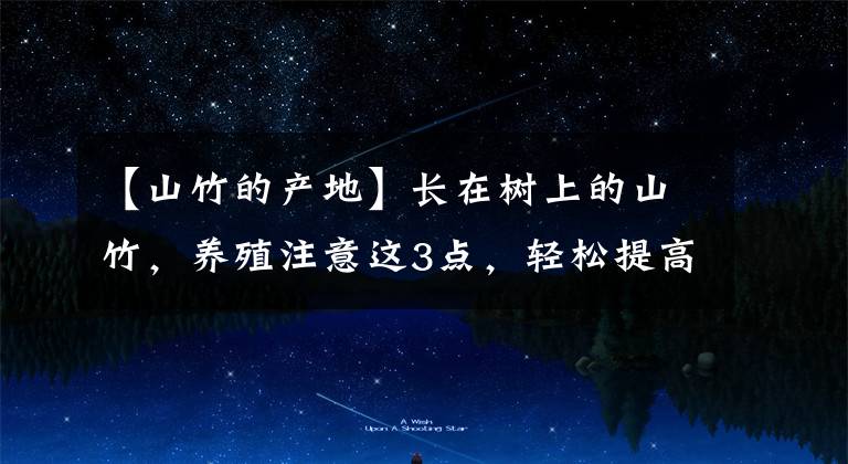 【山竹的产地】长在树上的山竹，养殖注意这3点，轻松提高产量