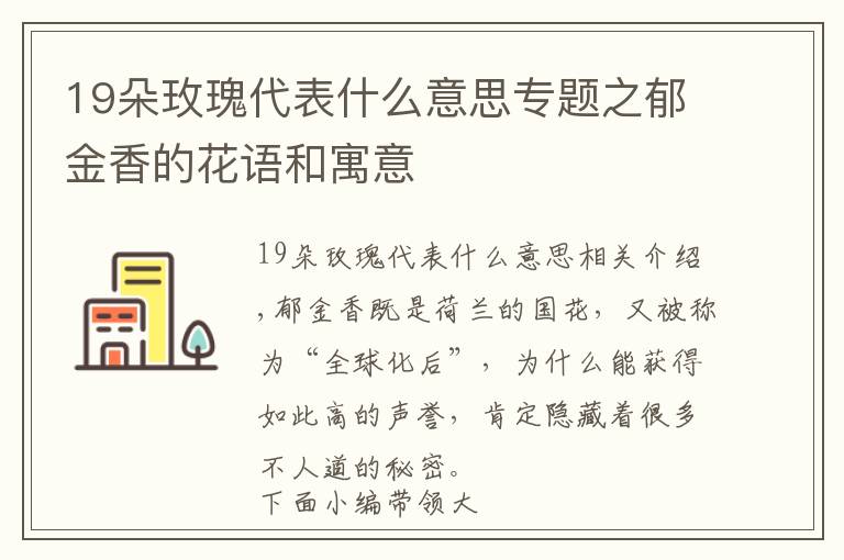 19朵玫瑰代表什么意思专题之郁金香的花语和寓意