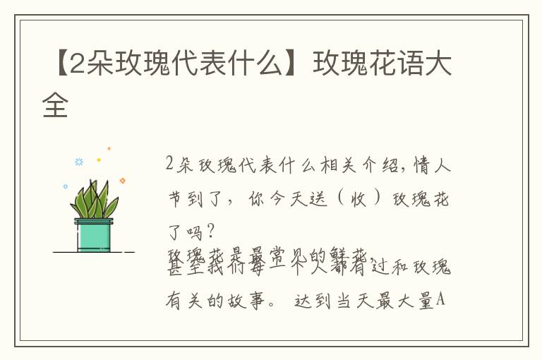 【2朵玫瑰代表什么】玫瑰花语大全