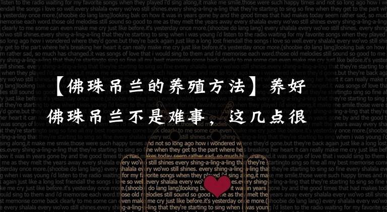 【佛珠吊兰的养殖方法】养好佛珠吊兰不是难事，这几点很容易做到