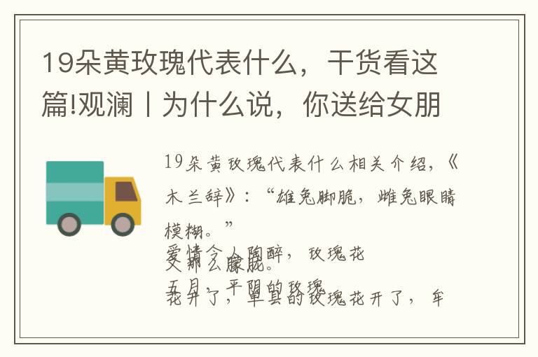 19朵黄玫瑰代表什么,干货看这篇!观澜丨为什么说,你送给女朋友的玫瑰花可能是“张冠李戴”?