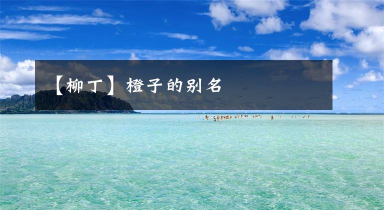 【柳丁】橙子的别名